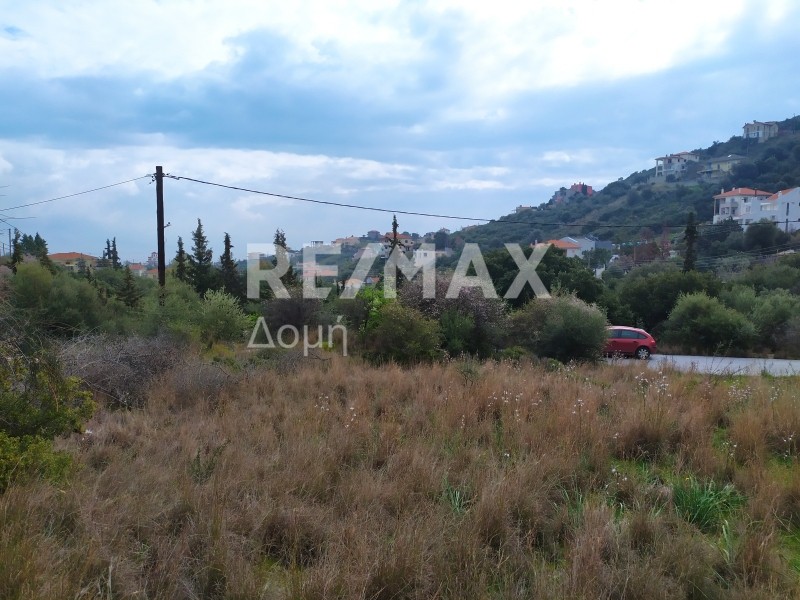 Οικόπεδο 590 τ.μ. προς πώληση, Νέες Παγασές