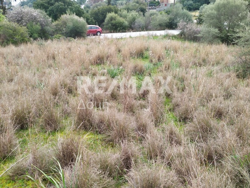 Οικόπεδο 590 τ.μ. προς πώληση, Νέες Παγασές