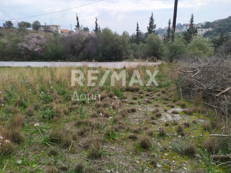 Οικόπεδο 590 τ.μ. προς πώληση, Νέες Παγασές