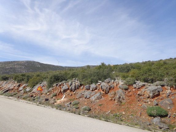 Οικόπεδο 750 τ.μ. για πώληση, Εύβοια, Ταμύνες