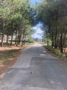 Οικόπεδο 500τ.μ. για πώληση-Πικέρμι » Διώνη
