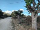 Parcel 729sqm for sale-Toroni » Sikia