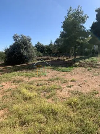 Land plot 825 sqm for sale, Athens - East, Paiania