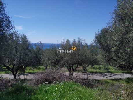 Land plot 788sqm for sale-Orchomenos » Pirgos