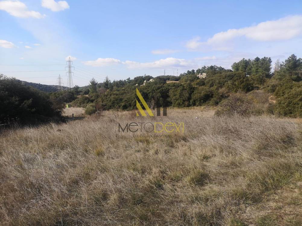 Αγροτεμάχια 6.126 τ.μ. προς πώληση, Κέντρο Πεύκων