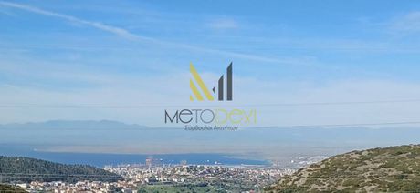 Αγροτεμάχια 6.126 τ.μ. για πώληση