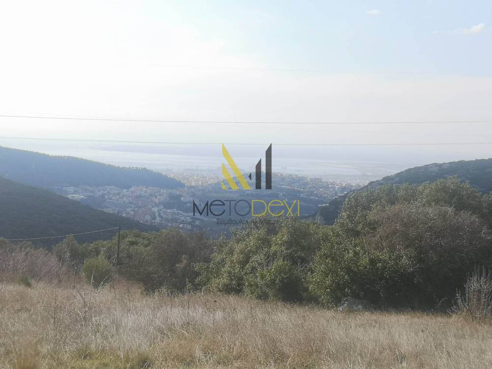 Αγροτεμάχια 6.126 τ.μ. προς πώληση, Κέντρο Πεύκων
