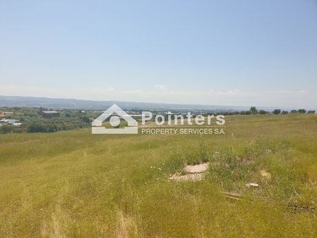 Αγροτεμάχια 4.207 τ.μ. για πώληση