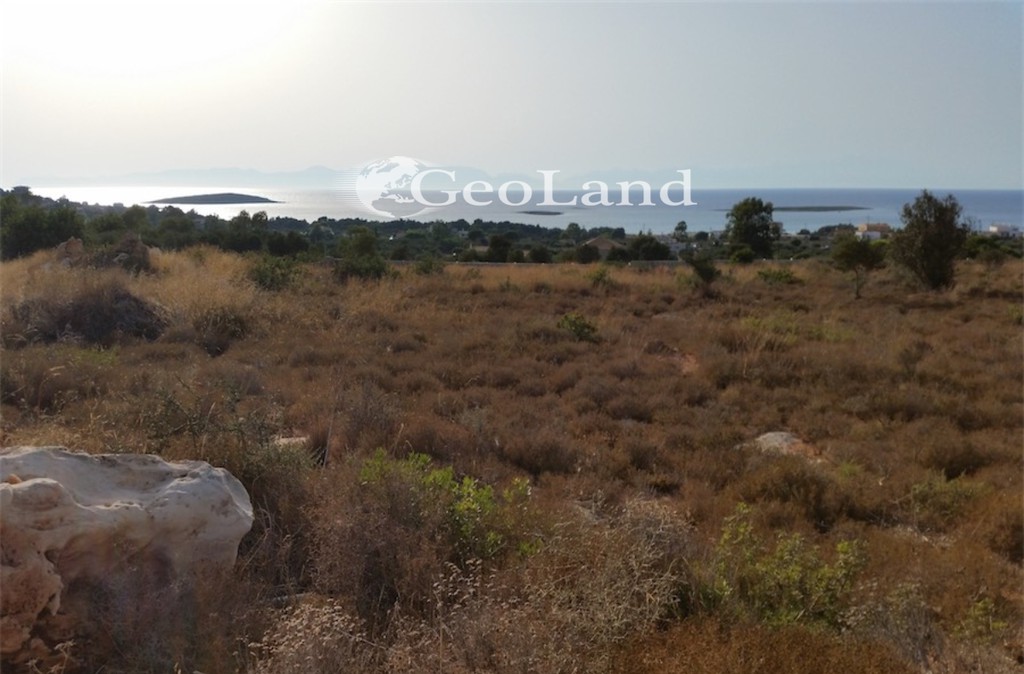 Αγροτεμάχια 7.754 τ.μ. προς πώληση, Κάτω Νησί Ελαφονήσου