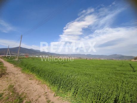 Αγροτεμάχια 9.000τ.μ. για πώληση-Θέρμη » Αγία παρασκευή