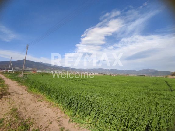 Αγροτεμάχια 9.000 τ.μ. για πώληση, Θεσσαλονίκη - Περιφ/Κοί Δήμοι, Θέρμη