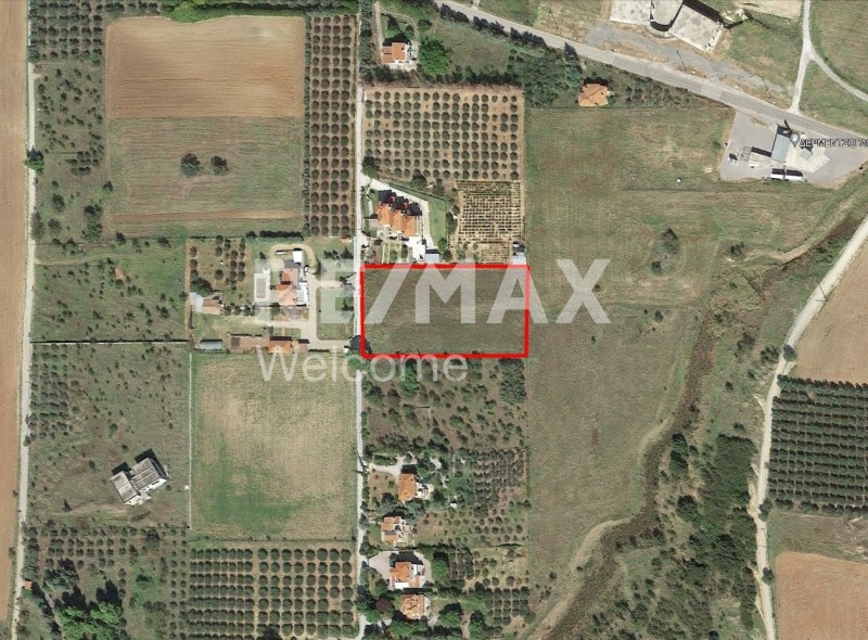 Αγροτεμάχια 5.550 τ.μ. προς πώληση, Αγία Παρασκευή Θέρμης