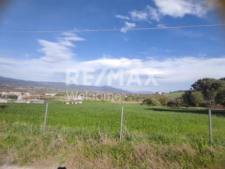 Αγροτεμάχια 5.550τ.μ. για πώληση-Θέρμη » Αγία παρασκευή