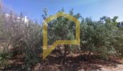 Land plot 581sqm for sale-Glyfada » Glyfada - Center