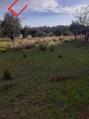 Οικόπεδο 6.404 τ.μ. για πώληση
