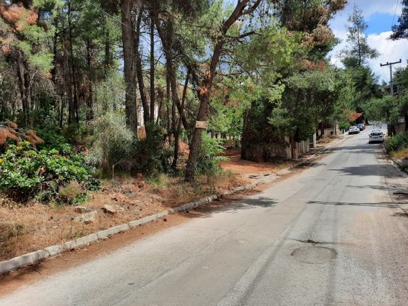 Οικόπεδο 828 τ.μ. για πώληση, Αθήνα - Βόρεια Προάστια, Διόνυσος