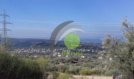 Οικόπεδο 5.941τ.μ. για πώληση-Μεσσατίδα » Καλλιθεόκαμπος