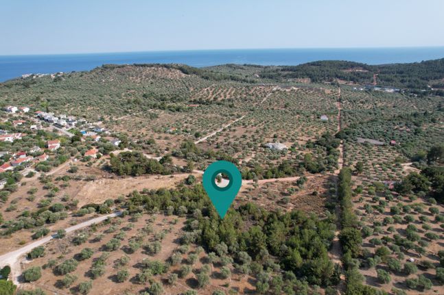 Οικόπεδο 5.055 τ.μ. για πώληση, Ν. Καβάλας, Θάσος