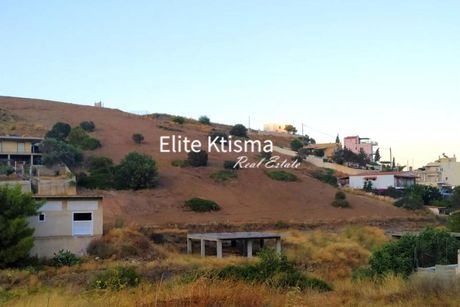 Αγροτεμάχια 4.240τ.μ. για πώληση-Κερατέα » Πόρτο εννιά