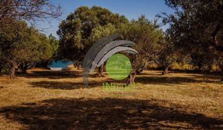 Οικόπεδο 3.828 τ.μ. για πώληση, Αχαΐα, Ρίο-thumb-4