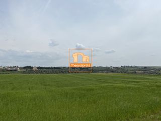 Αγροτεμάχια 4.083 τ.μ. για πώληση