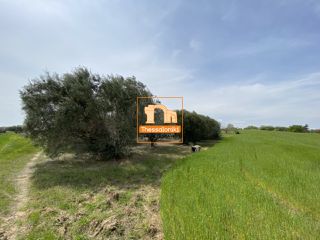 Αγροτεμάχια 4.100 τ.μ. για πώληση
