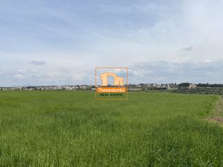 Αγροτεμάχια 4.020 τ.μ. για πώληση