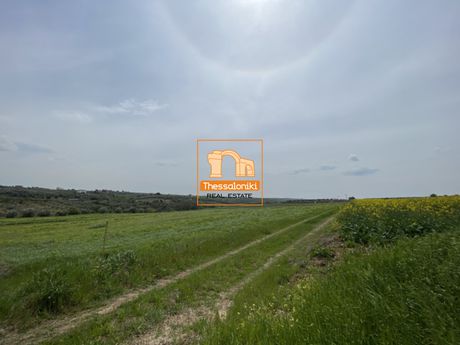 Αγροτεμάχια 4.200 τ.μ. προς πώληση