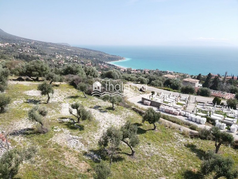 Οικόπεδο 3.700 τ.μ. πρός πώληση, Ν. Κεφαλονιάς, Κεφαλονιά