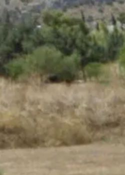 Land plot 1.840sqm for sale-Vari - Varkiza » Asirmatos Alianthou