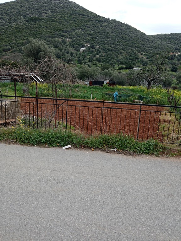 Οικόπεδο 1.000 τ.μ. πρός πώληση, Εύβοια, Ταμύνες
