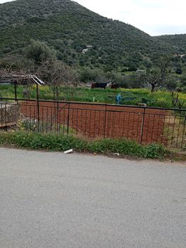 Οικόπεδο 1.000 τ.μ. για πώληση