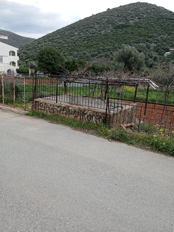 Οικόπεδο 1.000 τ.μ. πρός πώληση, Εύβοια, Ταμύνες