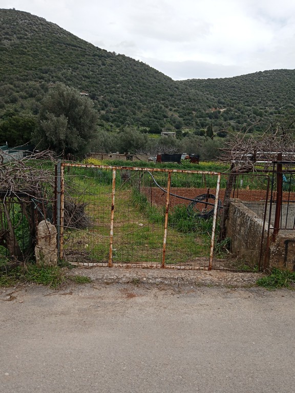 Οικόπεδο 1.000 τ.μ. πρός πώληση, Εύβοια, Ταμύνες