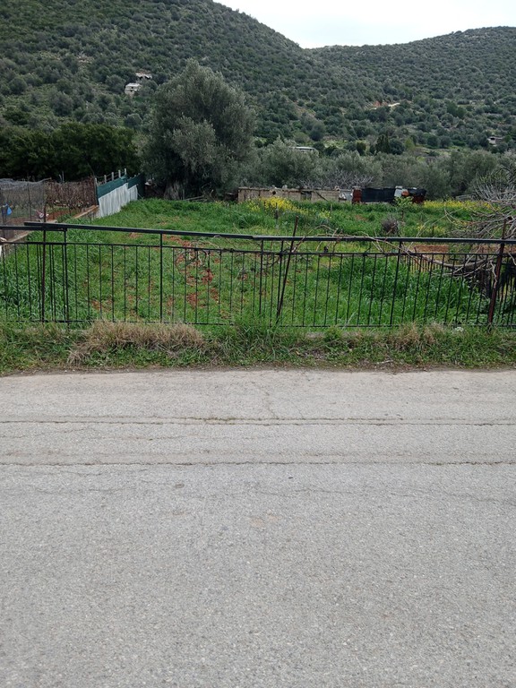 Οικόπεδο 1.000 τ.μ. πρός πώληση, Εύβοια, Ταμύνες