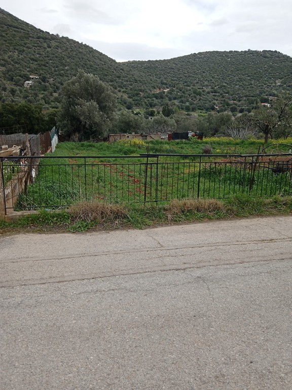 Οικόπεδο 1.000 τ.μ. πρός πώληση, Εύβοια, Ταμύνες