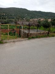 Οικόπεδο 1.000 τ.μ. πρός πώληση, Εύβοια, Ταμύνες-thumb-6