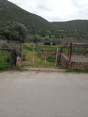 Οικόπεδο 1.000 τ.μ. πρός πώληση, Εύβοια, Ταμύνες-thumb-7