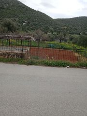 Οικόπεδο 1.000 τ.μ. πρός πώληση, Εύβοια, Ταμύνες-thumb-8