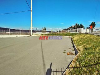 Αγροτεμάχια 5.600 τ.μ. για πώληση