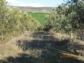 Αγροτεμάχια 12.000 τ.μ. πρός πώληση, Θεσσαλονίκη - Περιφ/Κοί Δήμοι, Θέρμη
