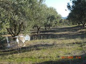 Αγροτεμάχια 12.000 τ.μ. πρός πώληση, Θεσσαλονίκη - Περιφ/Κοί Δήμοι, Θέρμη