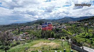 Οικόπεδο 1.692 τ.μ. πρός πώληση, Αχαΐα, Ερίνεο-thumb-1