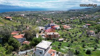 Οικόπεδο 1.692 τ.μ. πρός πώληση, Αχαΐα, Ερίνεο-thumb-2