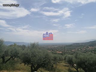 Οικόπεδο 1.692 τ.μ. πρός πώληση, Αχαΐα, Ερίνεο-thumb-7