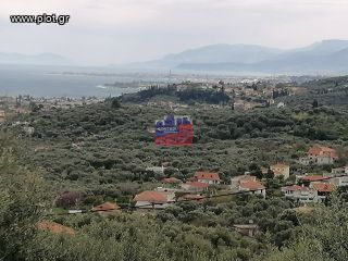 Οικόπεδο 1.692 τ.μ. πρός πώληση, Αχαΐα, Ερίνεο-thumb-8