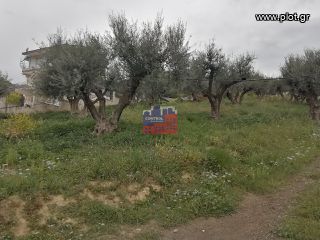 Οικόπεδο 1.692 τ.μ. πρός πώληση, Αχαΐα, Ερίνεο-thumb-9