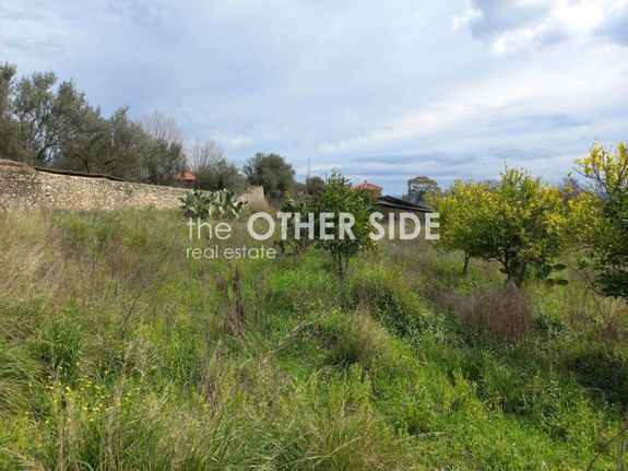 Land plot 2.125 sqm for sale, Lakonia, Farida