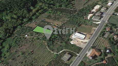 Αγροτεμάχια 2.500 τ.μ. για πώληση
