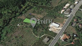 Αγροτεμάχια 2.500 τ.μ. για πώληση
